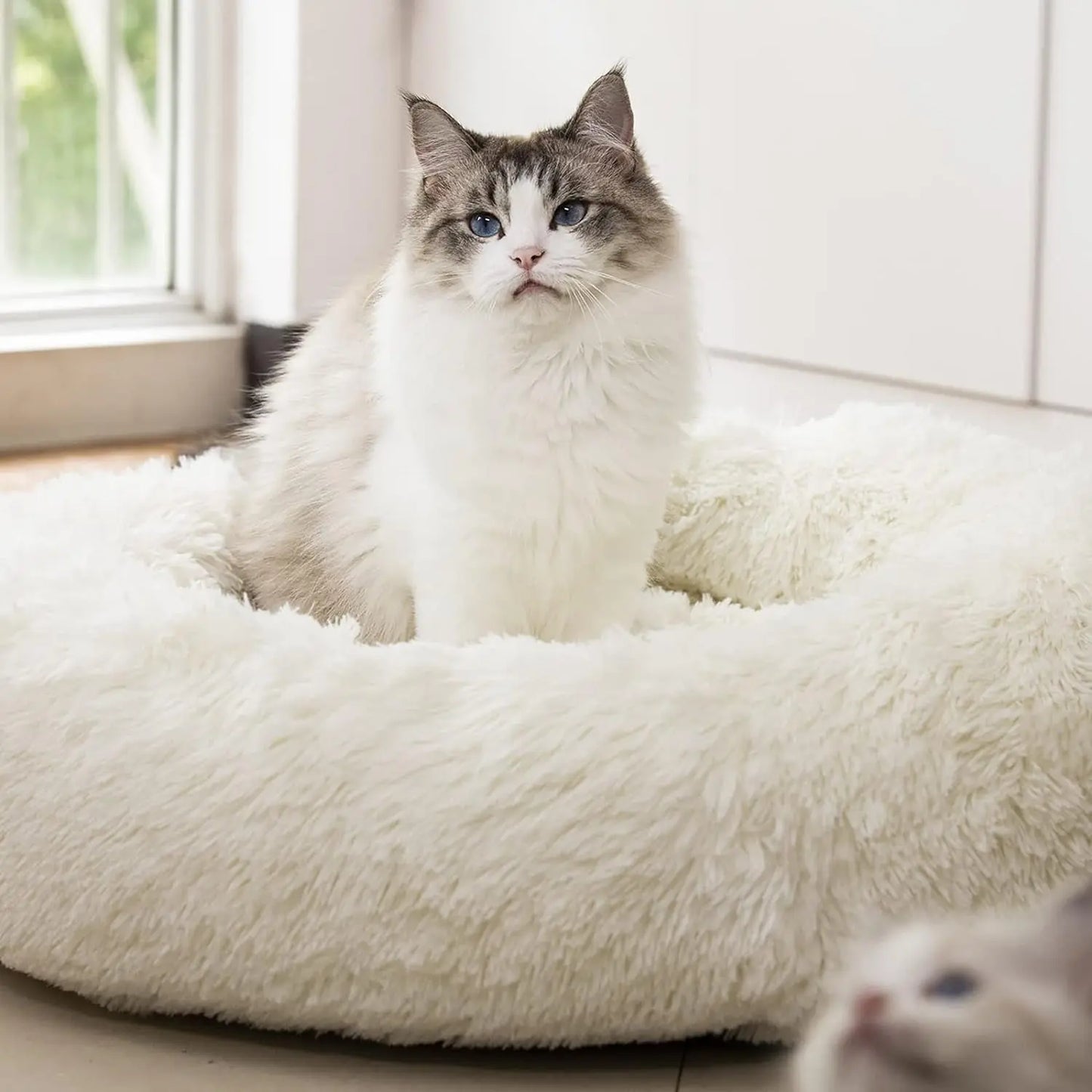 Anti Anxiety round Fluffy Plush Faux Fur Warm Washable Dog Bed & Cat Bed, Original Bed for Small Medium Large Pets,Used to Relieve Joints and Improve SleepοΌ20"/24"/27''οΌ (27", White)