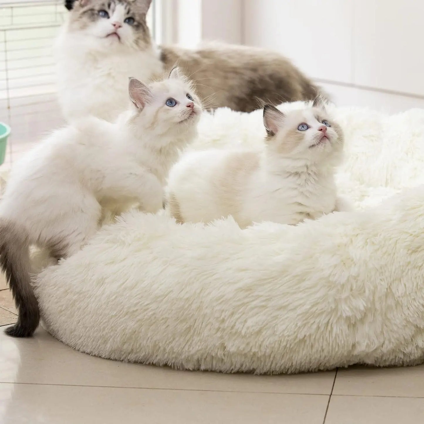 Anti Anxiety round Fluffy Plush Faux Fur Warm Washable Dog Bed & Cat Bed, Original Bed for Small Medium Large Pets,Used to Relieve Joints and Improve SleepοΌ20"/24"/27''οΌ (27", White)