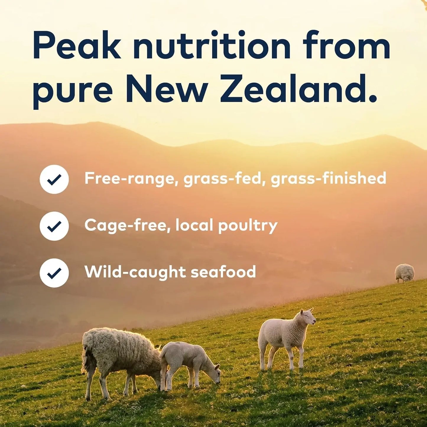 Peak Air-Dried Dog Food β Beef - All Natural, High Protein, Grain Free, Limited Ingredient W/ Superfoods (16Oz)
